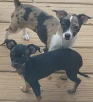 processed/3dc4dbab-f958-47ad-859d-89823d47cf65/listing/395b3773-d926-4c4d-a8bc-ed11826eb68d/02ffb7dc-35f8-409e-94c4-9974c05644d7