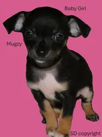 processed/3dc4dbab-f958-47ad-859d-89823d47cf65/listing/395b3773-d926-4c4d-a8bc-ed11826eb68d/56d5b610-4b6b-4c96-b289-22a5adfd3f61