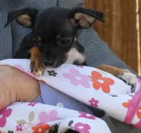 processed/3dc4dbab-f958-47ad-859d-89823d47cf65/listing/395b3773-d926-4c4d-a8bc-ed11826eb68d/a4679813-3391-4950-b562-03fb4165301d