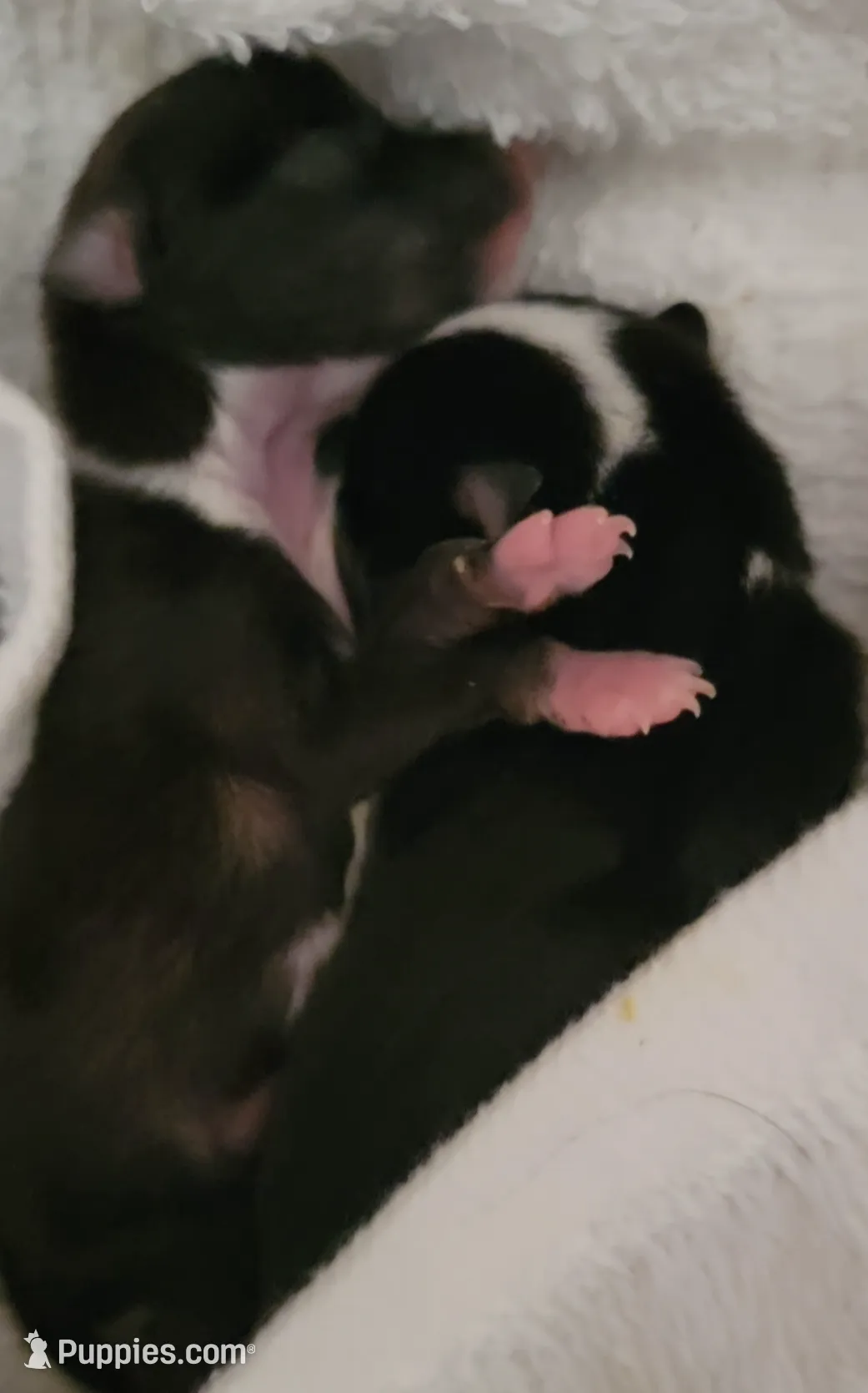 processed/3dc4dbab-f958-47ad-859d-89823d47cf65/listing/3f907cdd-3b3f-447a-8ad5-29c3663e3a2b/ea976c9b-eb07-417e-b16b-4a0afbd200ac