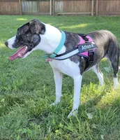 processed/3dc4dbab-f958-47ad-859d-89823d47cf65/listing/81cf3f1d-9dba-4719-a265-21e811f8e131/6a255067-f99b-4ea5-91df-4dcd2c7e6849