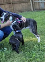 processed/3dc4dbab-f958-47ad-859d-89823d47cf65/listing/81cf3f1d-9dba-4719-a265-21e811f8e131/9593096e-e3a6-455b-8815-de1ceca1c2a2