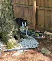 processed/3dc4dbab-f958-47ad-859d-89823d47cf65/listing/81cf3f1d-9dba-4719-a265-21e811f8e131/e6f31656-3168-4bb0-8d78-933c0362e7b6