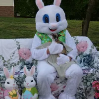 Oreo, a female Chihuahua for sale in Nashville, TN – Photo 6 of 9