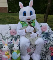 Oreo, a female Chihuahua for sale in Nashville, TN – Photo 6 of 9