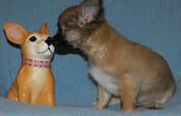 processed/3dc4dbab-f958-47ad-859d-89823d47cf65/listing/9c575f43-8d3e-4898-abad-1e3f5efe481c/0157adab-1897-480a-89c2-f77b4d621350