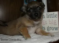 processed/3dc4dbab-f958-47ad-859d-89823d47cf65/listing/9c575f43-8d3e-4898-abad-1e3f5efe481c/10b3e3c7-bb57-491d-be0a-75d92bc0cc5b