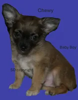 processed/3dc4dbab-f958-47ad-859d-89823d47cf65/listing/9c575f43-8d3e-4898-abad-1e3f5efe481c/15f0af21-3e4d-4848-9c7f-01fa1b4acca9