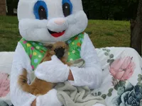 processed/3dc4dbab-f958-47ad-859d-89823d47cf65/listing/9c575f43-8d3e-4898-abad-1e3f5efe481c/8f7d16c9-b43c-4454-babe-ba061acdb49f