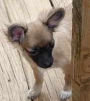 processed/3dc4dbab-f958-47ad-859d-89823d47cf65/listing/9c575f43-8d3e-4898-abad-1e3f5efe481c/99241f0f-8291-4f9e-9ca9-91f7ed35faac