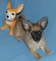 processed/3dc4dbab-f958-47ad-859d-89823d47cf65/listing/9c575f43-8d3e-4898-abad-1e3f5efe481c/cb65c5ae-6869-4aeb-a188-1e51d5fbce3f