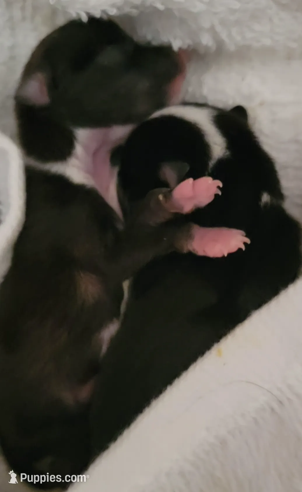 processed/3dc4dbab-f958-47ad-859d-89823d47cf65/listing/c76f9825-81da-477a-82a2-2e3d51101d93/87507345-7592-4cc3-b455-87e8d7f26c6b