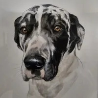 processed/3dc766c2-8417-4437-97b8-b417f26850da/facility/04d94fa3-18e5-48eb-acb1-46ab25577311