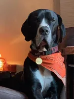 processed/3dc766c2-8417-4437-97b8-b417f26850da/facility/3d409c44-537a-4d9a-a598-69addba0fd09