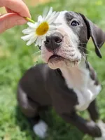 processed/3dc766c2-8417-4437-97b8-b417f26850da/facility/3f9f03fd-9c19-4e95-acc5-b6a8041c802a