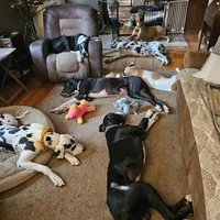 processed/3dc766c2-8417-4437-97b8-b417f26850da/facility/5de090b6-8d43-4669-9e99-2509ebe46e84