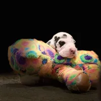 processed/3dc766c2-8417-4437-97b8-b417f26850da/facility/7e8a8fe5-2bf9-4028-a7a5-86435adeff72