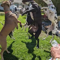 processed/3dc766c2-8417-4437-97b8-b417f26850da/facility/9e35774e-0721-42eb-86b8-f2b2183223af