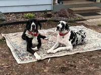 processed/3dc766c2-8417-4437-97b8-b417f26850da/facility/b2aa24df-a9cd-496b-b47e-ae89047c48b6