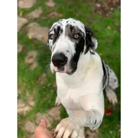 processed/3dc766c2-8417-4437-97b8-b417f26850da/facility/ec0306de-81e6-439c-943d-31f8af436ab9