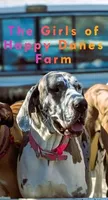 Walnut - female, a female Great Anglo-Francais White and Orange Hound for sale in Brainerd, MN – 9 of 10