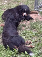 processed/3dd50491-6511-47fb-a4fd-191d55dde491/facility/2713bcfd-d757-4d86-9b8c-d45606ef6d0a