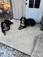 processed/3dd50491-6511-47fb-a4fd-191d55dde491/facility/2a1bbb9a-b2fa-4462-b17a-55cd1b800eaf