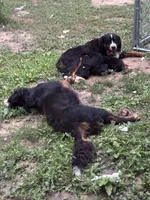 processed/3dd50491-6511-47fb-a4fd-191d55dde491/facility/45429435-ff57-45a1-80cd-59c0b438d3d0