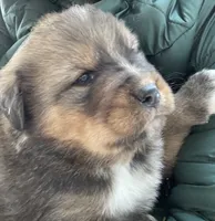 processed/3dd50491-6511-47fb-a4fd-191d55dde491/listing/151a0ea7-8b2b-4307-9263-c1c97bc2a62a/0155c34d-bb8c-4a9a-a7dc-c5983523cbbf