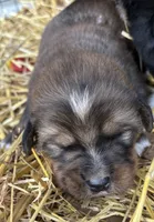 processed/3dd50491-6511-47fb-a4fd-191d55dde491/listing/151a0ea7-8b2b-4307-9263-c1c97bc2a62a/4a2f648d-75dc-4291-adff-8bc82e2290c7