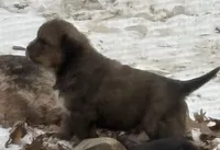 processed/3dd50491-6511-47fb-a4fd-191d55dde491/listing/151a0ea7-8b2b-4307-9263-c1c97bc2a62a/639b678d-fa5a-4354-b93e-89c3bb12418b