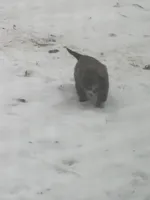 processed/3dd50491-6511-47fb-a4fd-191d55dde491/listing/151a0ea7-8b2b-4307-9263-c1c97bc2a62a/866538db-96c6-451b-a770-13ac143ba1c9