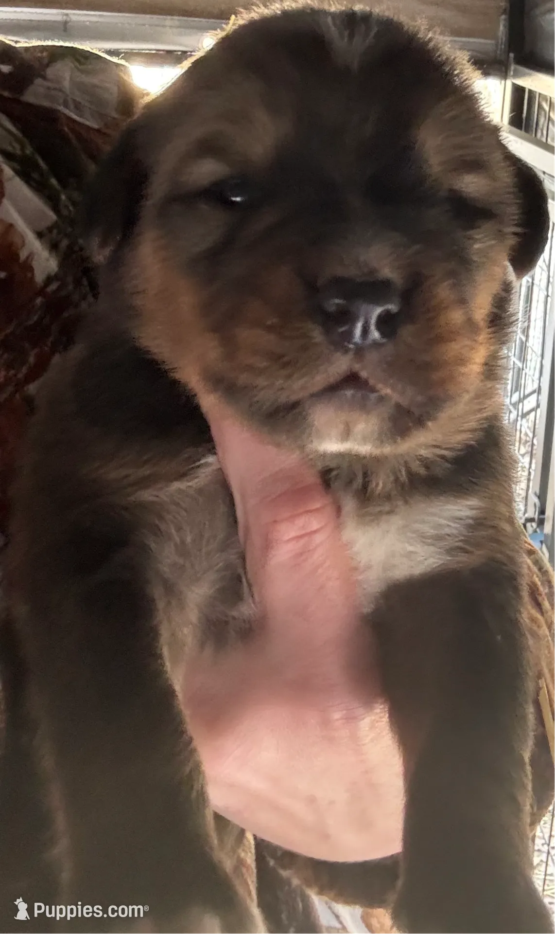 processed/3dd50491-6511-47fb-a4fd-191d55dde491/listing/151a0ea7-8b2b-4307-9263-c1c97bc2a62a/ac221488-267d-409e-bc15-162f6b57e30b