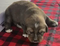 processed/3dd50491-6511-47fb-a4fd-191d55dde491/listing/151a0ea7-8b2b-4307-9263-c1c97bc2a62a/acdb86aa-c889-4b9e-a5c8-bf6647e12e21