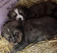 processed/3dd50491-6511-47fb-a4fd-191d55dde491/listing/151a0ea7-8b2b-4307-9263-c1c97bc2a62a/cbfdb4a2-7de5-425e-bb6c-012783739ece