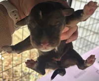 processed/3dd50491-6511-47fb-a4fd-191d55dde491/listing/151a0ea7-8b2b-4307-9263-c1c97bc2a62a/fa9a196d-5e65-4be3-a75e-52602d886f15