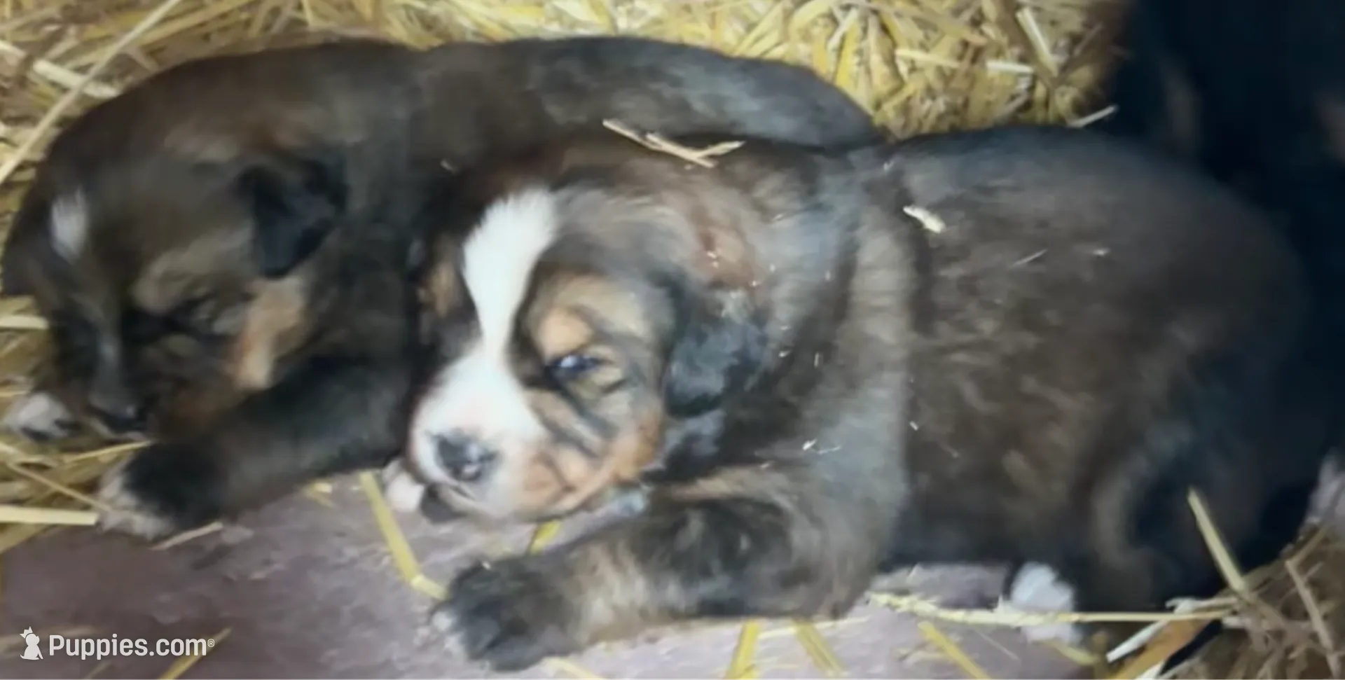 processed/3dd50491-6511-47fb-a4fd-191d55dde491/listing/38b62e27-5e89-42ca-80ee-8977cb531587/6e368191-690b-4a12-972e-54f90c0eb8d8