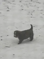 processed/3dd50491-6511-47fb-a4fd-191d55dde491/listing/38b62e27-5e89-42ca-80ee-8977cb531587/70274010-f4a5-4d46-86e2-5799aa1b7445