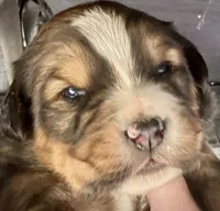 processed/3dd50491-6511-47fb-a4fd-191d55dde491/listing/38b62e27-5e89-42ca-80ee-8977cb531587/94d168b7-1e74-4508-8e8d-1e86586492d5