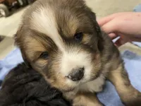 processed/3dd50491-6511-47fb-a4fd-191d55dde491/listing/38b62e27-5e89-42ca-80ee-8977cb531587/9e8ac31e-4663-4624-bc25-e12c7f4e030f