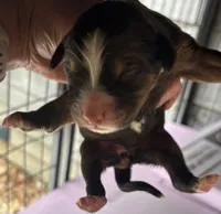 processed/3dd50491-6511-47fb-a4fd-191d55dde491/listing/38b62e27-5e89-42ca-80ee-8977cb531587/aaa48d9c-dc57-4e59-9229-abc6cd32b05b