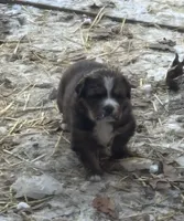 processed/3dd50491-6511-47fb-a4fd-191d55dde491/listing/38b62e27-5e89-42ca-80ee-8977cb531587/d121e30d-04c2-4a5d-ab74-240cf33bf741