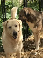 processed/3df0bcc0-3b11-4db5-ba93-dde9eb0473a3/listing/4ebff95c-5341-4781-98cd-7e11d2c21863/43501f1f-ae88-4f66-b180-eeeffc771d01