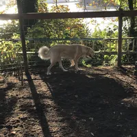 processed/3df0bcc0-3b11-4db5-ba93-dde9eb0473a3/listing/4ebff95c-5341-4781-98cd-7e11d2c21863/a58c2b12-3b54-4349-8df5-3dce1bda5ce2