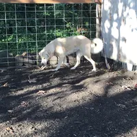 processed/3df0bcc0-3b11-4db5-ba93-dde9eb0473a3/listing/4ebff95c-5341-4781-98cd-7e11d2c21863/b40705a7-a700-4ec6-834f-a88f57a44008