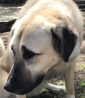 processed/3df0bcc0-3b11-4db5-ba93-dde9eb0473a3/listing/d2e512c2-079e-4479-b7ad-7452eb83d3df/607af924-ed26-4831-9b6e-99bcadad5891