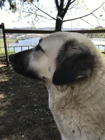 processed/3df0bcc0-3b11-4db5-ba93-dde9eb0473a3/listing/d2e512c2-079e-4479-b7ad-7452eb83d3df/903c5b3f-1e77-4cb2-8d4e-12946dc8ee14