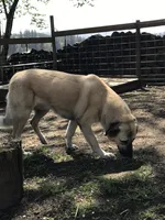 processed/3df0bcc0-3b11-4db5-ba93-dde9eb0473a3/listing/d2e512c2-079e-4479-b7ad-7452eb83d3df/a496e026-3cd5-4478-86e3-c73255c7e106