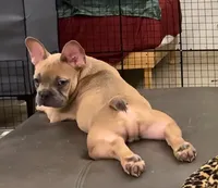 processed/3dfbab96-c9bc-4f55-afcd-016ed3ac98f6/listing/8f563da0-73d9-48ff-bd27-af6568230939/3c307091-a126-4962-83a0-ef391e6aaf61