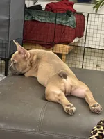 processed/3dfbab96-c9bc-4f55-afcd-016ed3ac98f6/listing/8f563da0-73d9-48ff-bd27-af6568230939/65450b65-b7bf-49d1-94f5-946415f17b7b